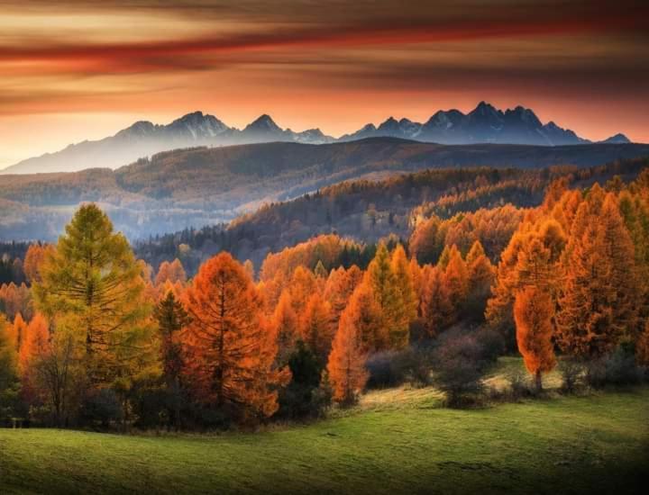 Tatry Panorama Apartmany Tatragolf Tatranská Lomnica Εξωτερικό φωτογραφία